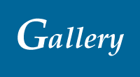 Navigate to our Gallery page